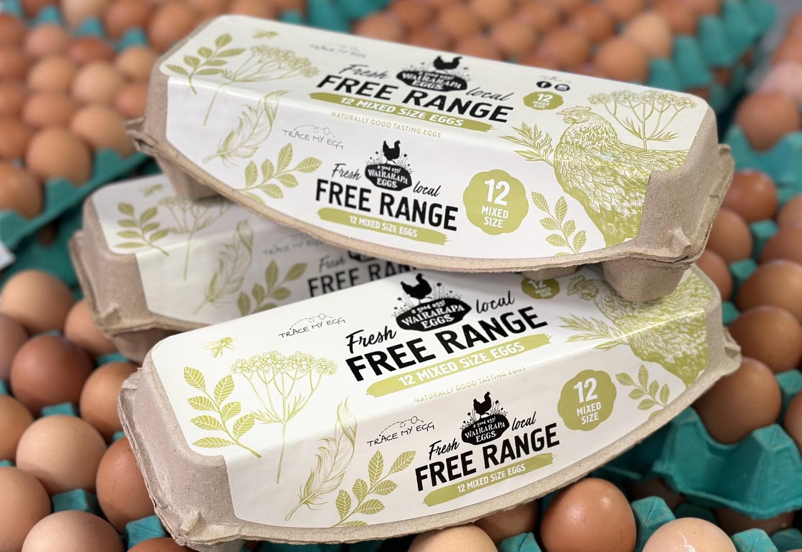 Eggs 700 Free Range