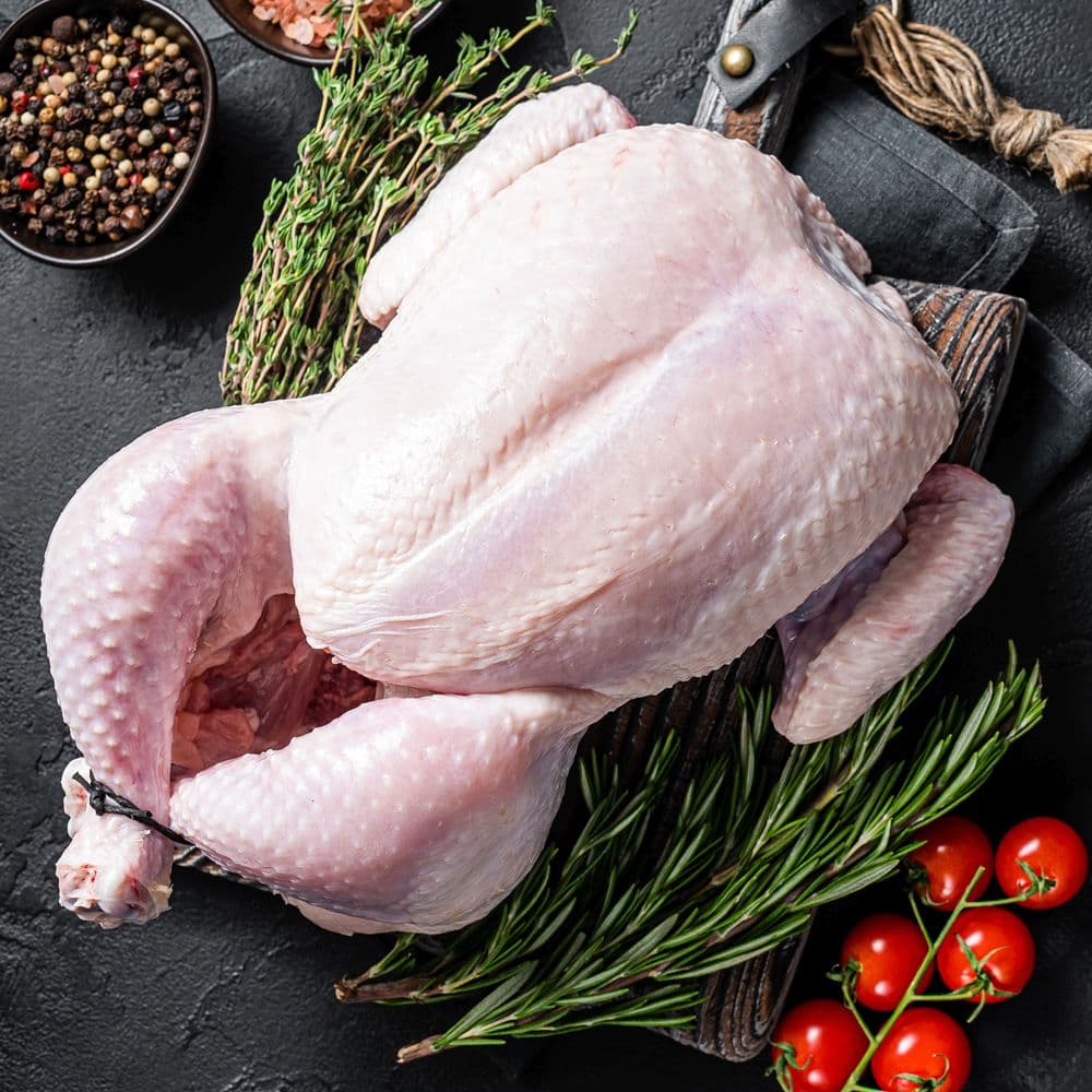 Hen chicken