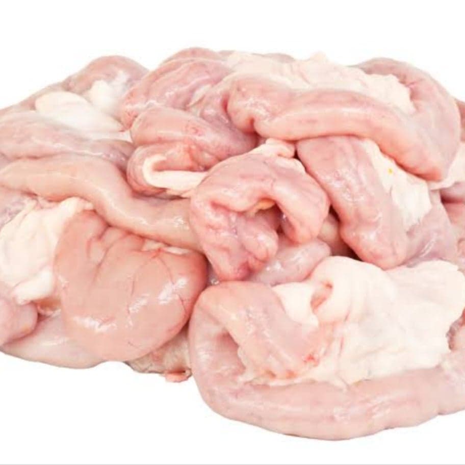 Intestines