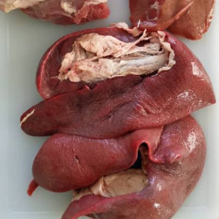 Spleen, Kidney, Heart, Liver