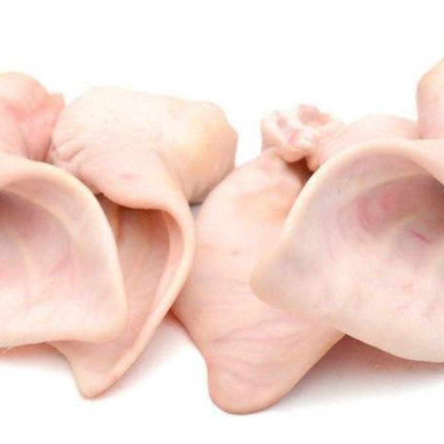 Pig Ear