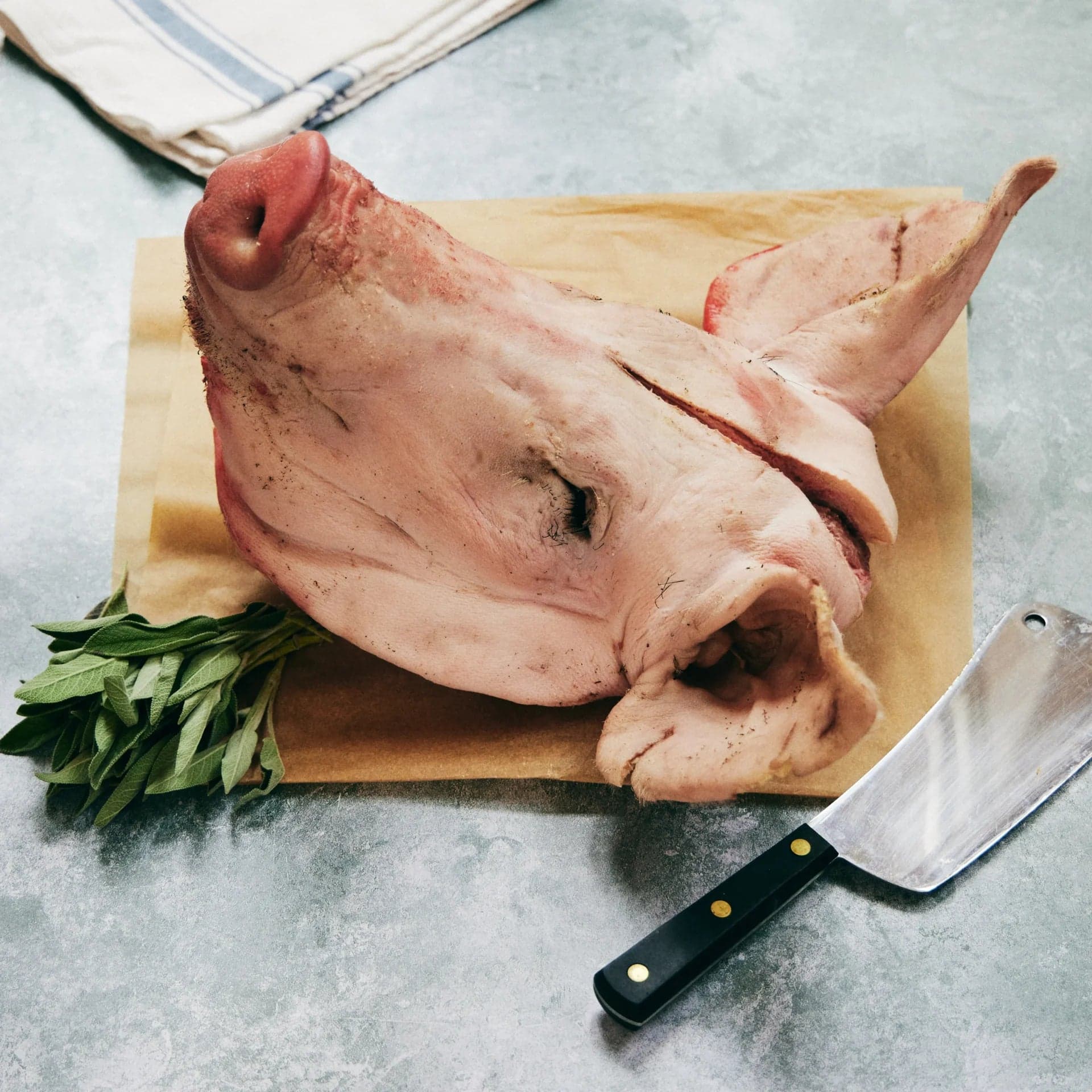 Pig Head 🐷