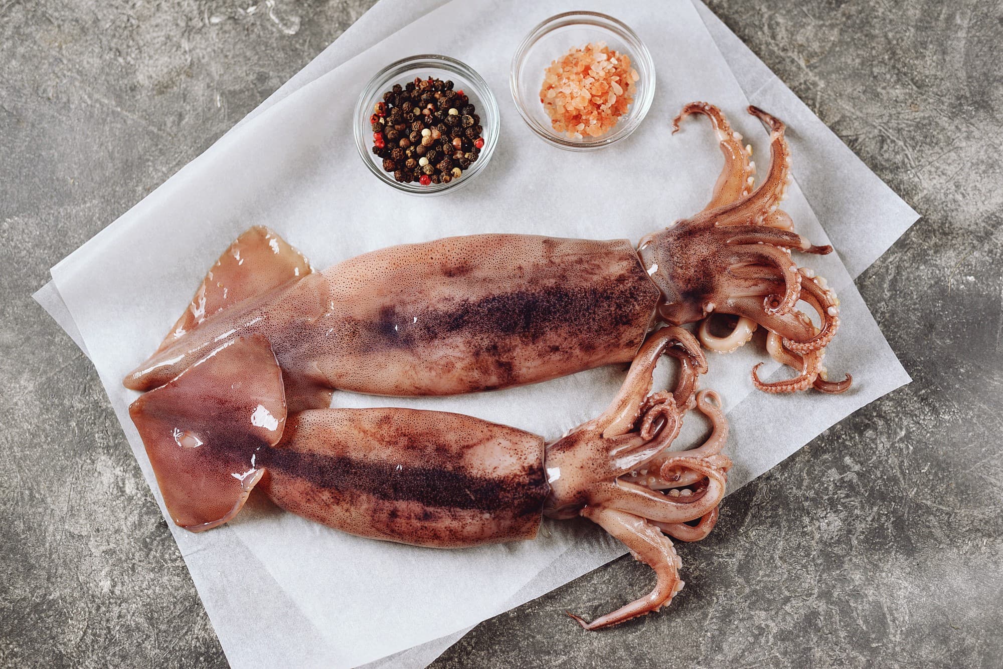 Squid